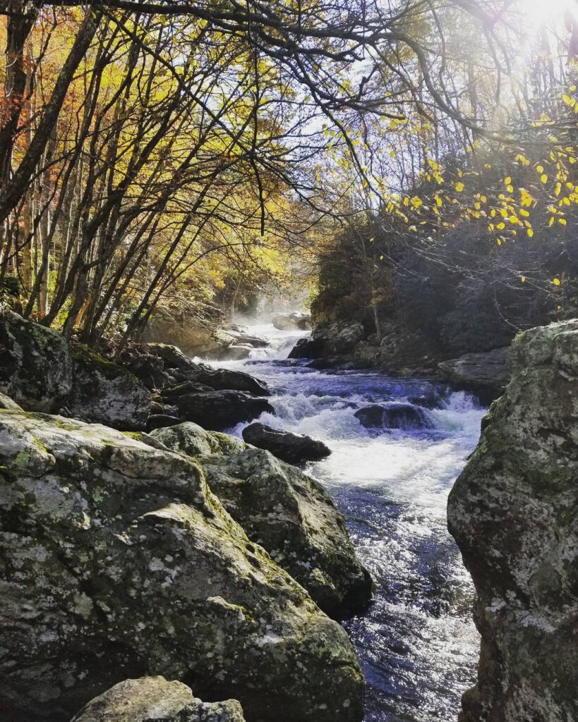 A mountain stream running through autumn woods
